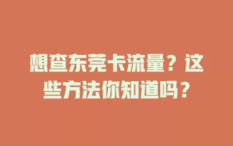想查东莞卡流量？这些方法你知道吗？