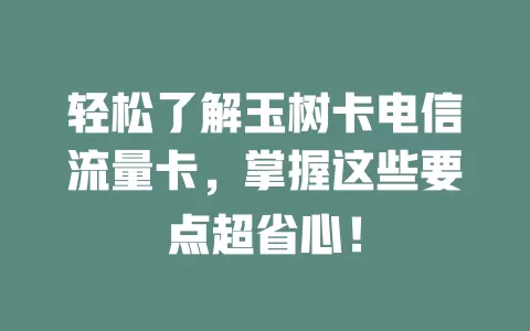 轻松了解玉树卡电信流量卡，掌握这些要点超省心！