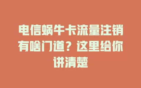 电信蜗牛卡流量注销有啥门道？这里给你讲清楚