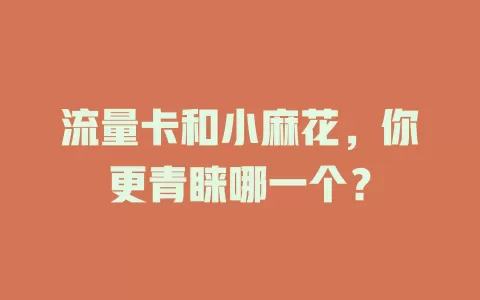 流量卡和小麻花，你更青睐哪一个？