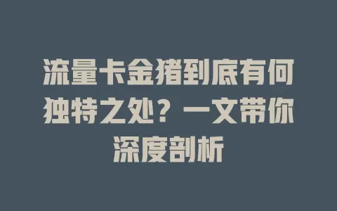 流量卡金猪到底有何独特之处？一文带你深度剖析