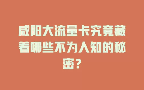 咸阳大流量卡究竟藏着哪些不为人知的秘密？