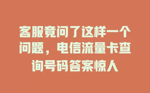 客服竟问了这样一个问题，电信流量卡查询号码答案惊人