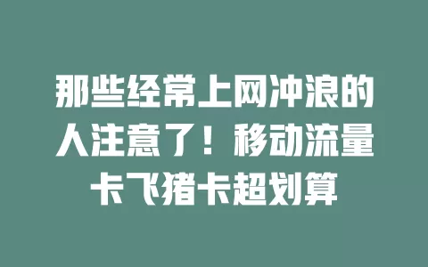 那些经常上网冲浪的人注意了！移动流量卡飞猪卡超划算