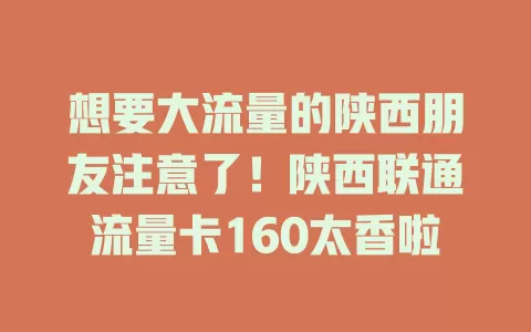 想要大流量的陕西朋友注意了！陕西联通流量卡160太香啦