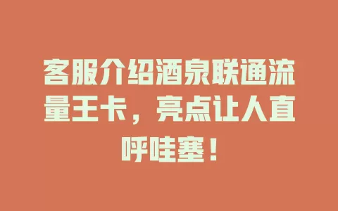 客服介绍酒泉联通流量王卡，亮点让人直呼哇塞！
