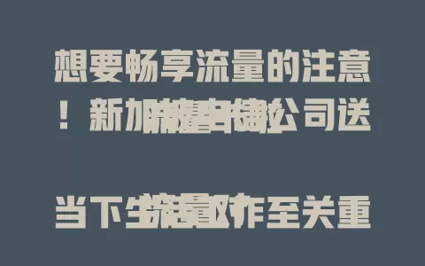 想要畅享流量的注意！新加坡电信公司送流量卡啦

流量对当下生活工作至关重要，新加坡电信公司通信出色，现送流量卡，无需花大钱买套餐就能有流量，旅行、工作、休闲都不愁流量，抓住机会让网络生活更精彩 。