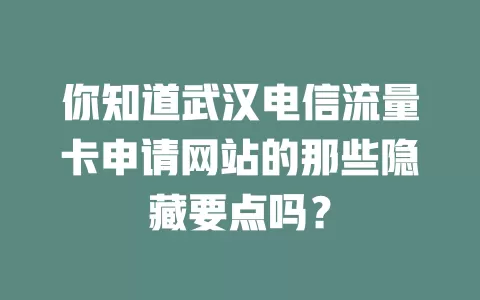 你知道武汉电信流量卡申请网站的那些隐藏要点吗？