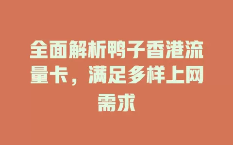 全面解析鸭子香港流量卡，满足多样上网需求