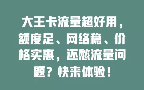 大王卡流量超好用，额度足、网络稳、价格实惠，还愁流量问题？快来体验！