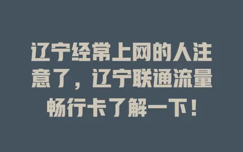 辽宁经常上网的人注意了，辽宁联通流量畅行卡了解一下！