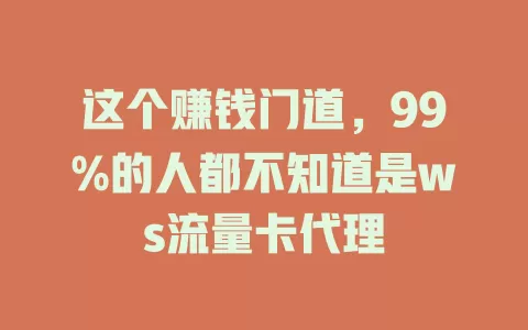 这个赚钱门道，99%的人都不知道是ws流量卡代理