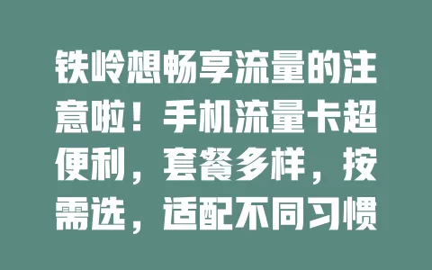 铁岭想畅享流量的注意啦！手机流量卡超便利，套餐多样，按需选，适配不同习惯，助你在铁岭畅快拥抱移动互联网精彩