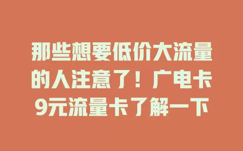那些想要低价大流量的人注意了！广电卡9元流量卡了解一下