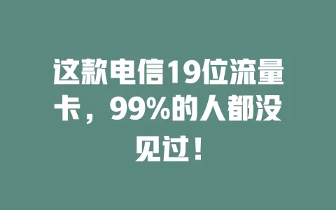 这款电信19位流量卡，99%的人都没见过！