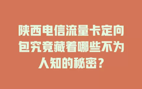 陕西电信流量卡定向包究竟藏着哪些不为人知的秘密？