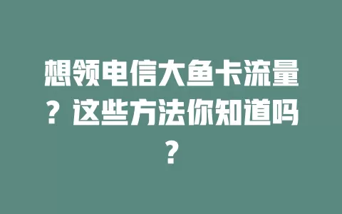 想领电信大鱼卡流量？这些方法你知道吗？