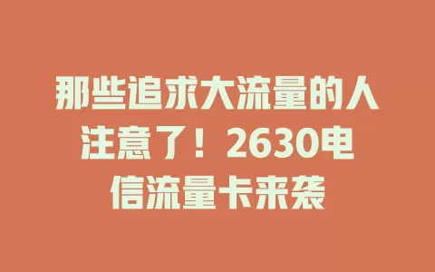 那些追求大流量的人注意了！2630电信流量卡来袭