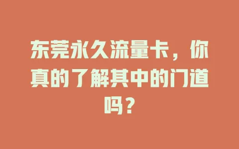 东莞永久流量卡，你真的了解其中的门道吗？