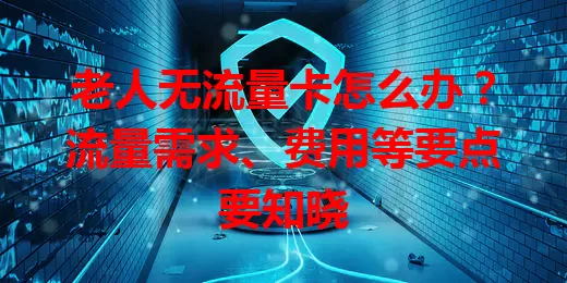 老人无流量卡怎么办？流量需求、费用等要点要知晓