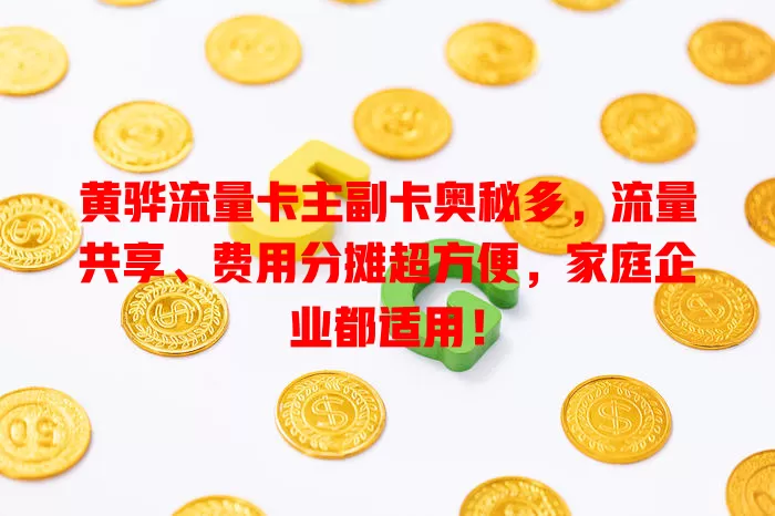 黄骅流量卡主副卡奥秘多，流量共享、费用分摊超方便，家庭企业都适用！
