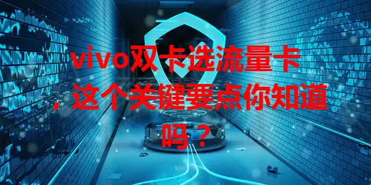 vivo双卡选流量卡，这个关键要点你知道吗？