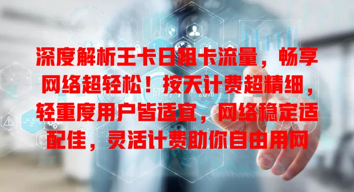 深度解析王卡日租卡流量，畅享网络超轻松！按天计费超精细，轻重度用户皆适宜，网络稳定适配佳，灵活计费助你自由用网
