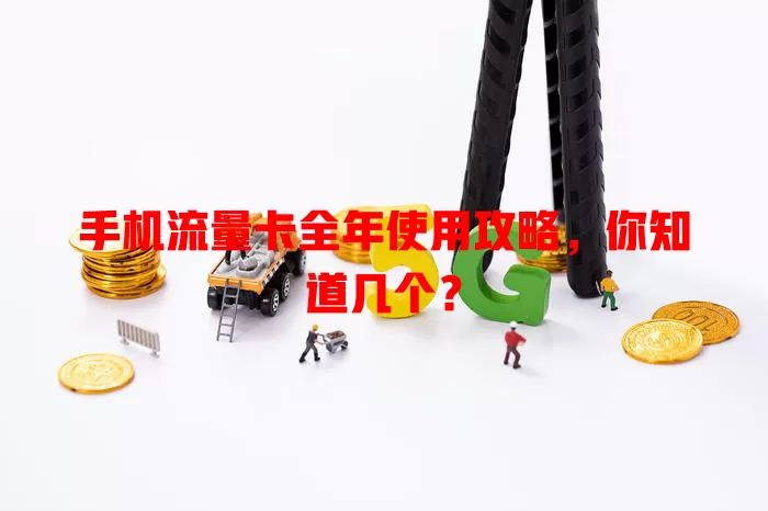 手机流量卡全年使用攻略，你知道几个？