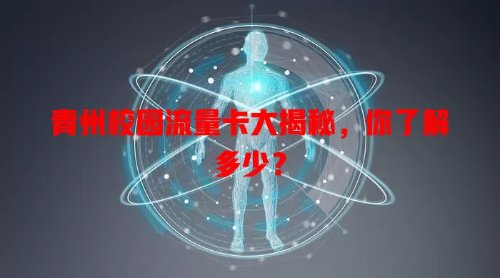 青州校园流量卡大揭秘，你了解多少？