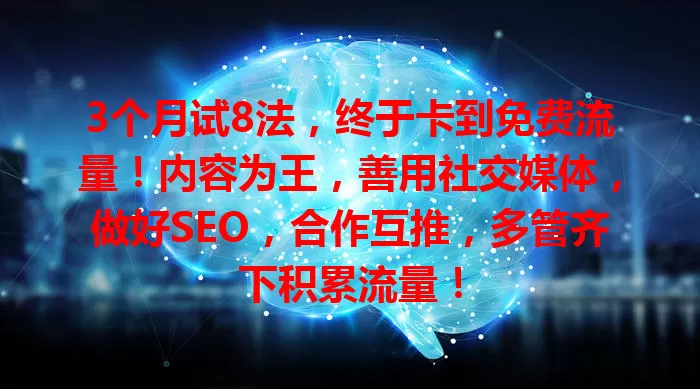 3个月试8法，终于卡到免费流量！内容为王，善用社交媒体，做好SEO，合作互推，多管齐下积累流量！