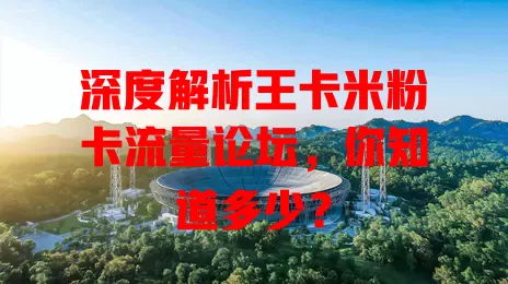 深度解析王卡米粉卡流量论坛，你知道多少？