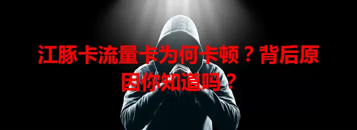 江豚卡流量卡为何卡顿？背后原因你知道吗？