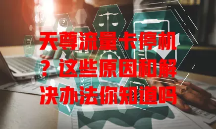 天尊流量卡停机？这些原因和解决办法你知道吗