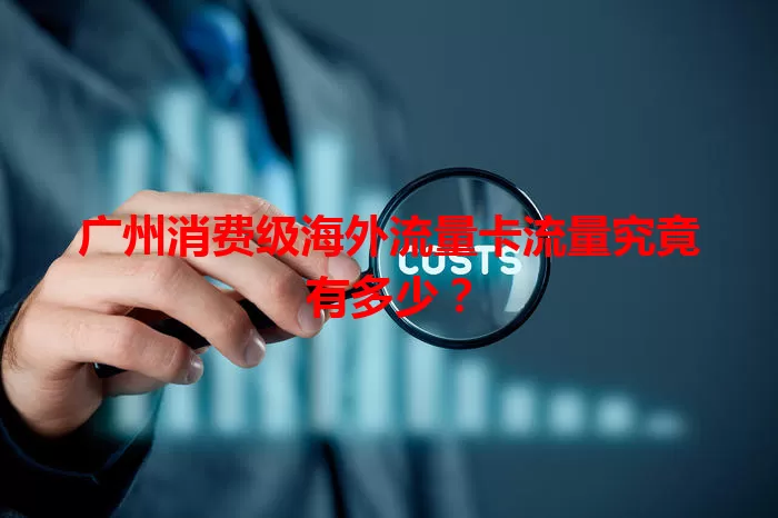 广州消费级海外流量卡流量究竟有多少？