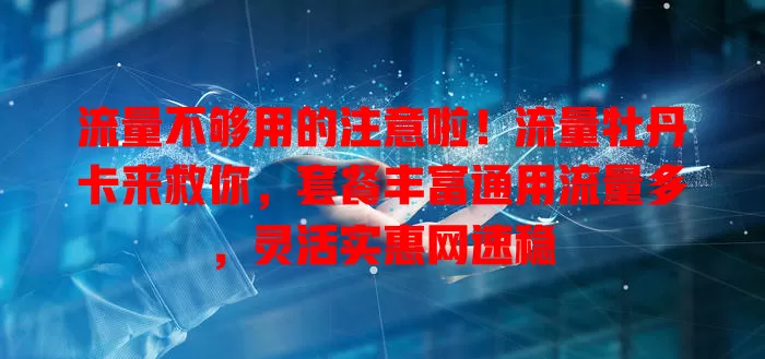 流量不够用的注意啦！流量牡丹卡来救你，套餐丰富通用流量多，灵活实惠网速稳