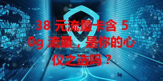38 元流量卡含 50g 流量，是你的心仪之选吗？