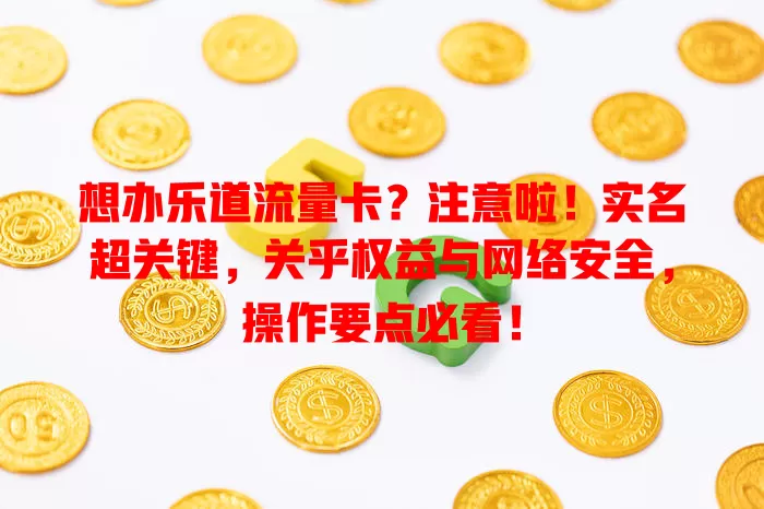 想办乐道流量卡？注意啦！实名超关键，关乎权益与网络安全，操作要点必看！