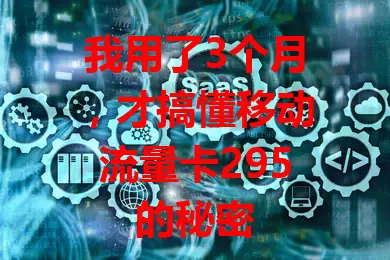 我用了3个月，才搞懂移动流量卡295的秘密