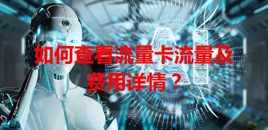 如何查看流量卡流量及费用详情？