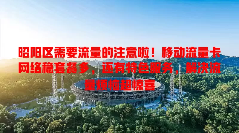 昭阳区需要流量的注意啦！移动流量卡网络稳套餐多，还有特色服务，解决流量烦恼超惊喜