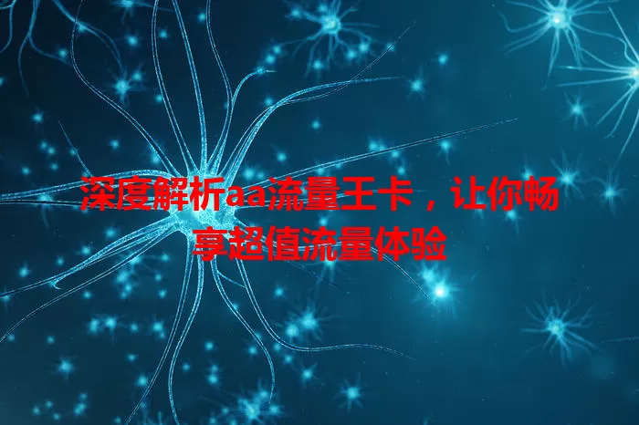 深度解析aa流量王卡，让你畅享超值流量体验