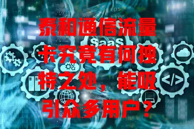 泰和通信流量卡究竟有何独特之处，能吸引众多用户？