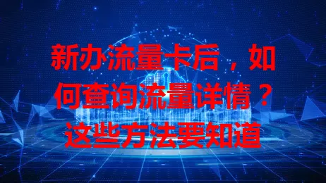 新办流量卡后，如何查询流量详情？这些方法要知道