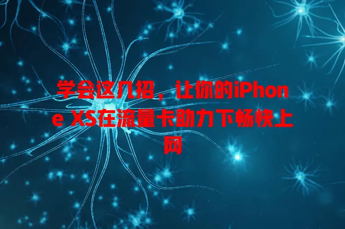 学会这几招，让你的iPhone XS在流量卡助力下畅快上网