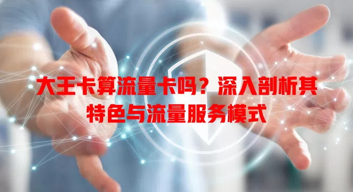 大王卡算流量卡吗？深入剖析其特色与流量服务模式