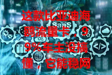 这款比亚迪海鸥流量卡，99%车主没搞懂，它能稳网络、支娱乐、保软件更新，流量问题这样解决