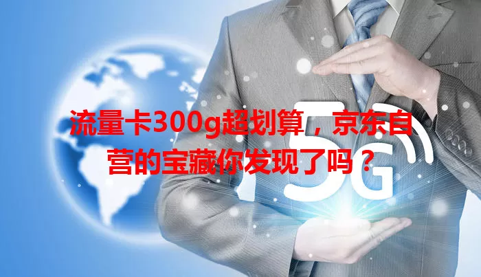 流量卡300g超划算，京东自营的宝藏你发现了吗？