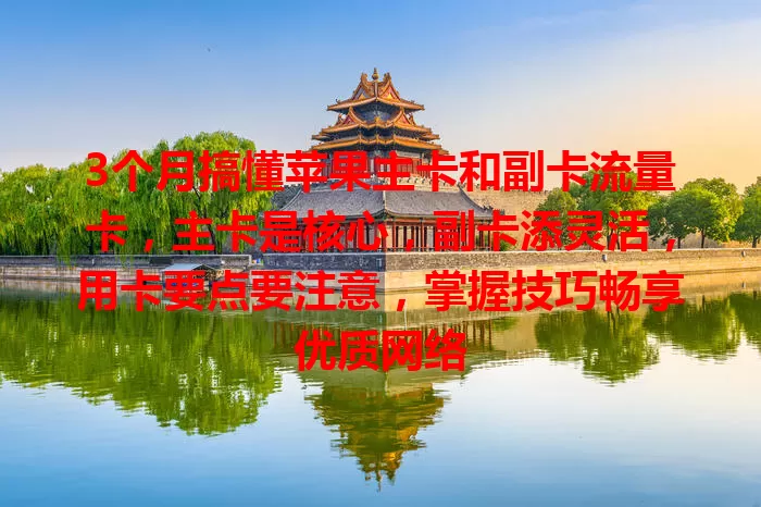 3个月搞懂苹果主卡和副卡流量卡，主卡是核心，副卡添灵活，用卡要点要注意，掌握技巧畅享优质网络