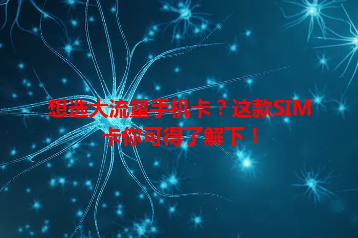 想选大流量手机卡？这款SIM卡你可得了解下！