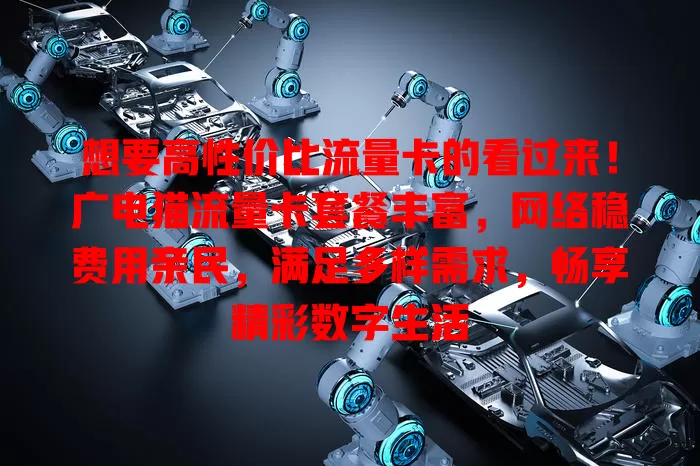 想要高性价比流量卡的看过来！广电猫流量卡套餐丰富，网络稳费用亲民，满足多样需求，畅享精彩数字生活